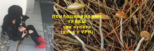 дживик Наволоки