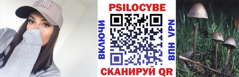 Псилоцибиновые грибы Psilocybine cubensis  Пласт 
